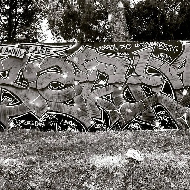 2011- Rager - Graffs · Bagnol-sur-Cèze