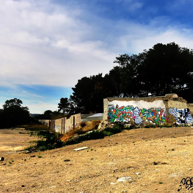 Aerosoul - Graffs · Marseille - 06 · 2016