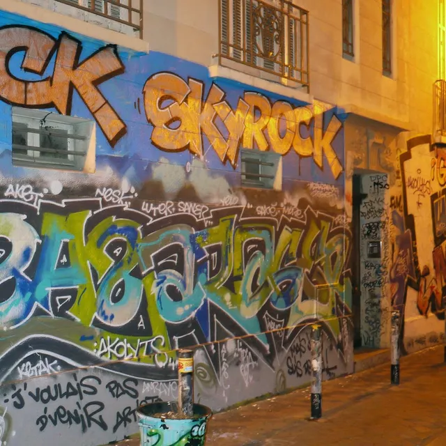 Fuck Skyrock - Graffs · Mzaza, Rager - Marseille - 04 · 2017