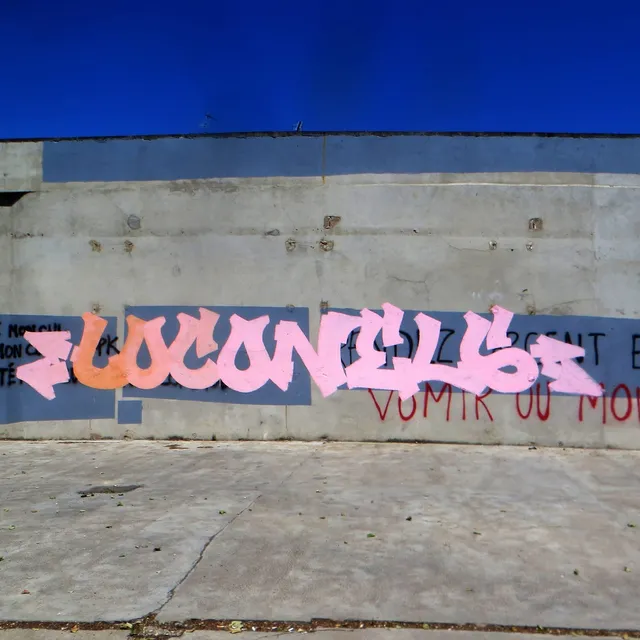 Loconels - Graffs · Bourg-en-Bresse, La Tannerie - 01 · 2017