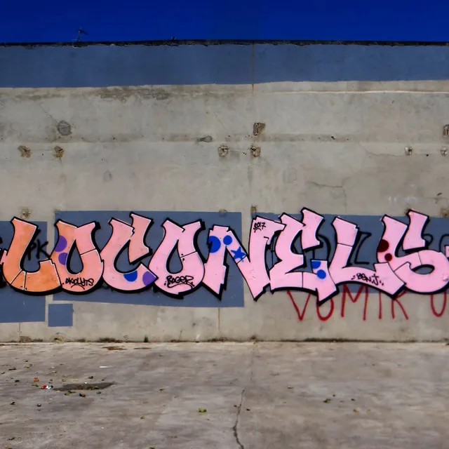 Loconels - Graffs · Bourg-en-Bresse, La Tannerie - 02 · 2017
