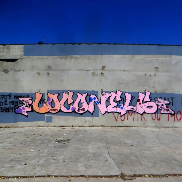 Loconels - Graffs · Bourg-en-Bresse, La Tannerie - 03 · 2017