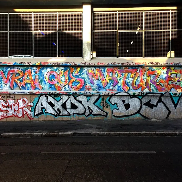 + vrai que mature - Graffs · Marseille - 04 · 2017