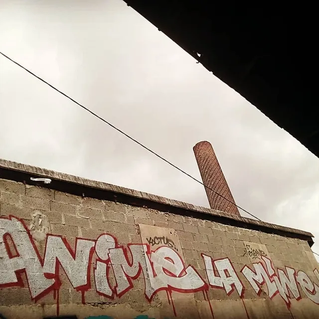 Amine la mine - Graffs · Saint Etienne · 2019