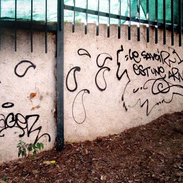 Le savoir est une arme - Graffs
